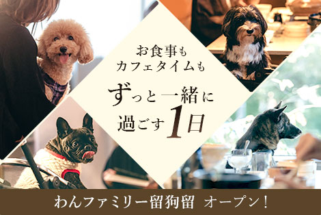 お食事もカフェタイムも ずっと一緒に過ごす1日 わんファミリー留狗留オープン！